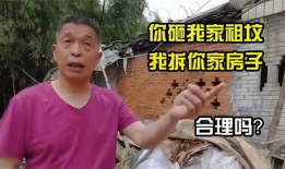 91岁找儿子直播,跨越时空的亲情呼唤