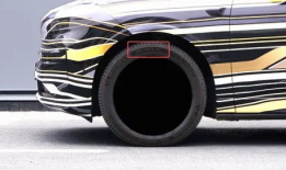 ssbbw视频,揭秘网络红人的魅力与争议